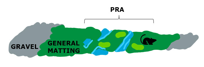 PRA diagram